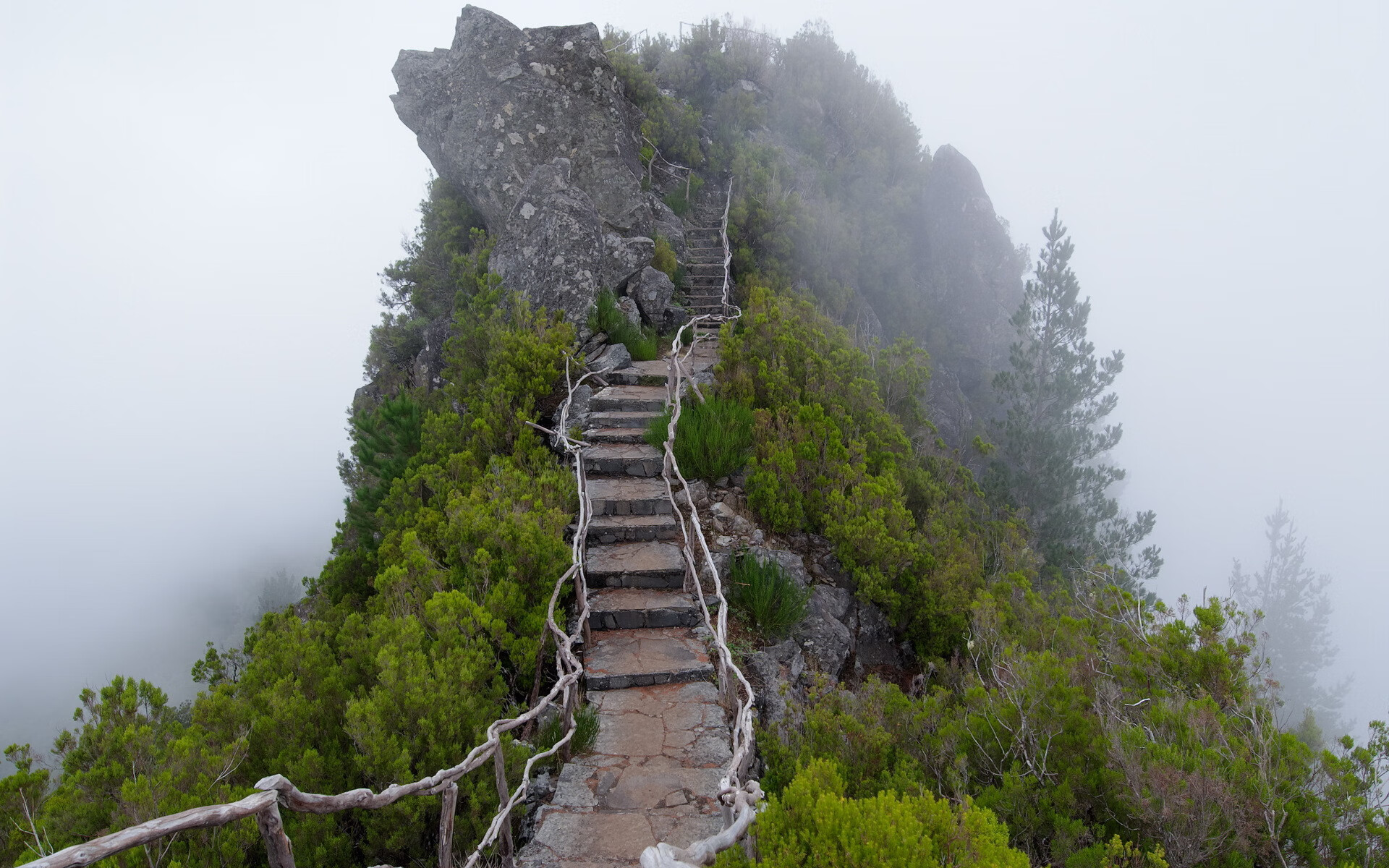 世界举重康复线上诊断平台升级:新增病例标签功能,世界举重视频